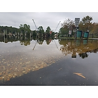 Chesapeake King Tide image